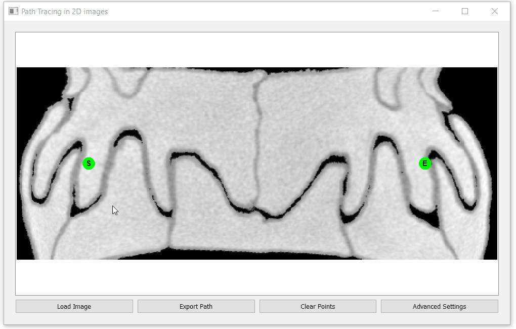 images/GUI_gif.gif
