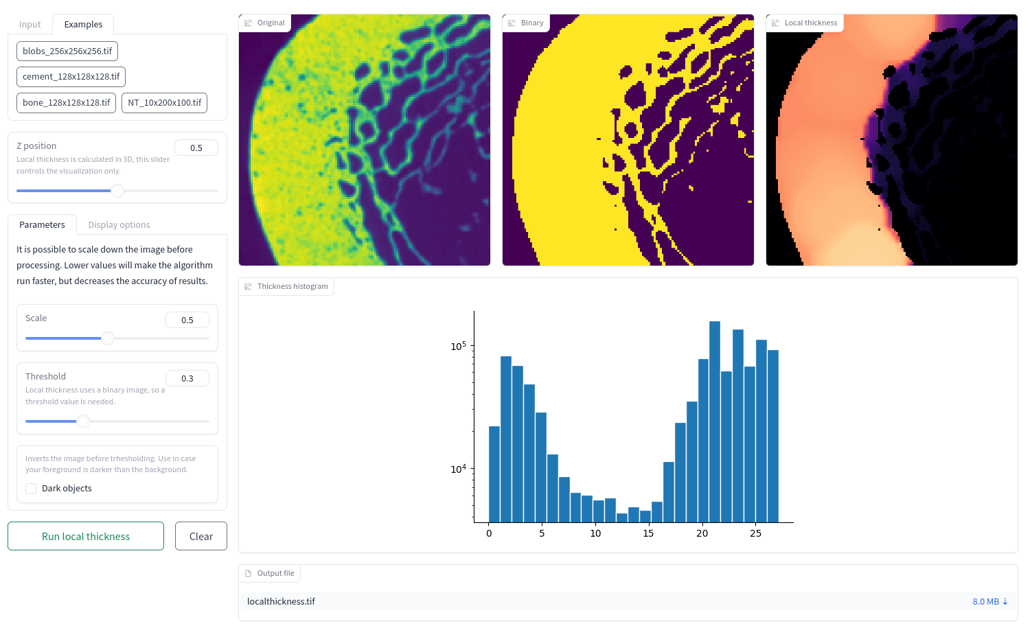 docs/assets/screenshots/GUI-local_thickness.png