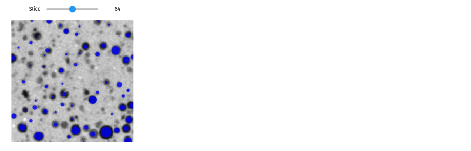 docs/assets/screenshots/blob_detection.gif