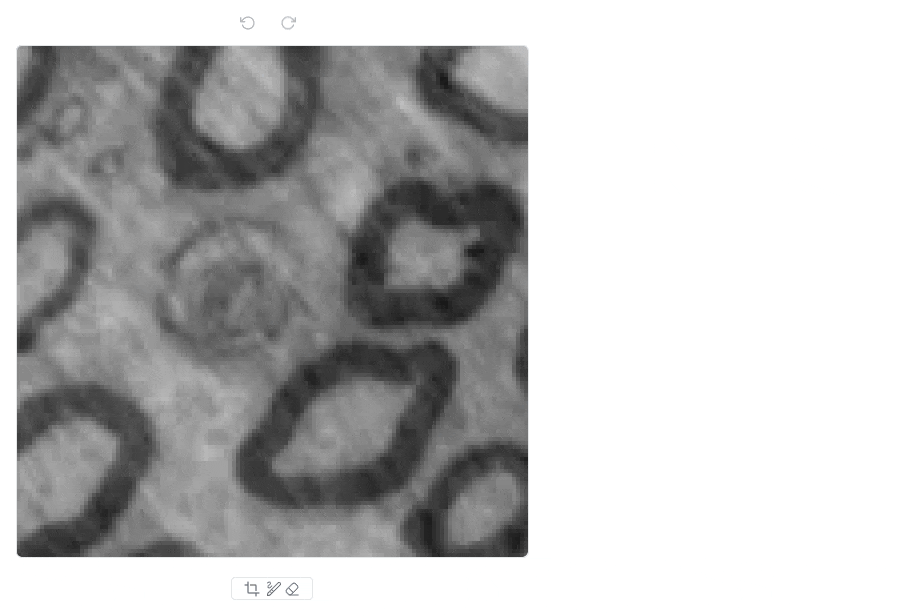 docs/assets/screenshots/gui-annotation_tool.gif