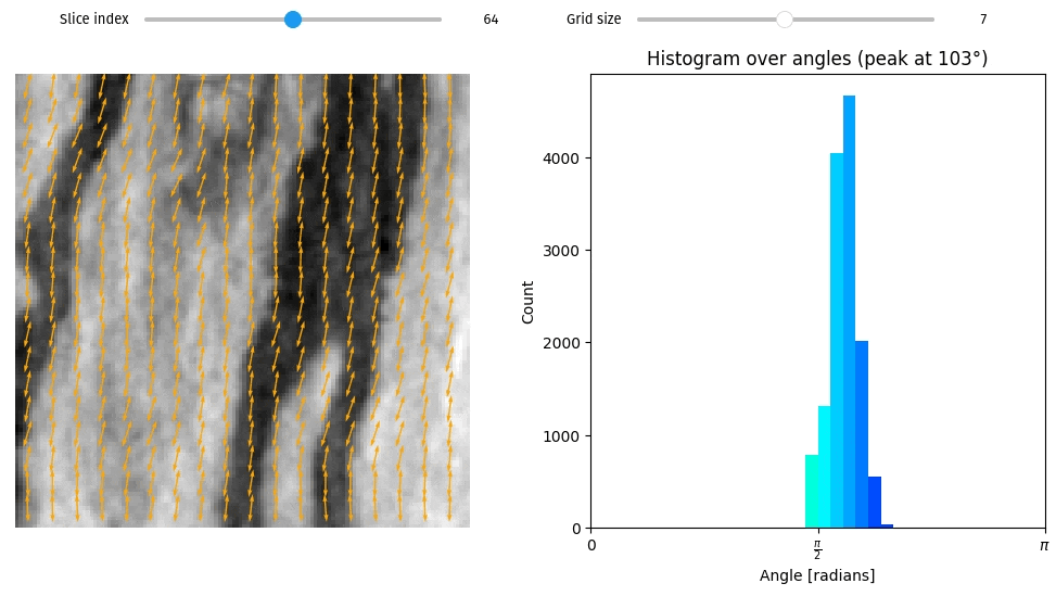 docs/assets/screenshots/structure_tensor.gif