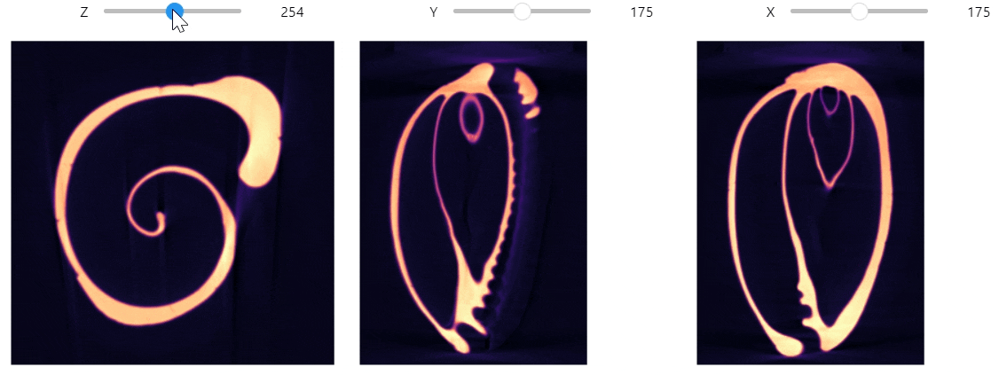 docs/assets/screenshots/cowry_shell_slicer.gif