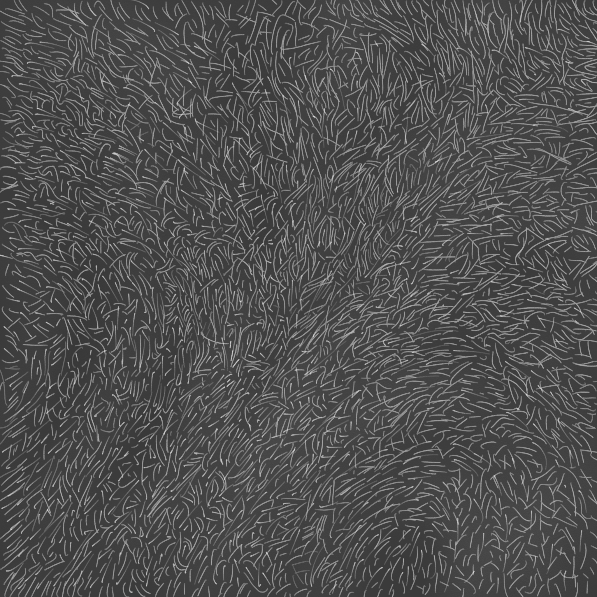 example_data_2D/short_fibres.png